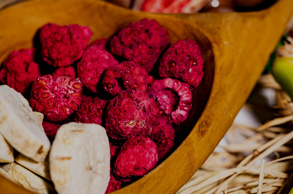 Food Logistics and Export